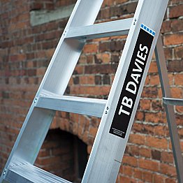 TB Davies Professional Swingback Step Ladder