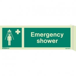 Wall Mount Emergency Shower 4367FS