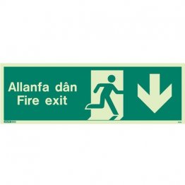Allanfa Dan Down 481