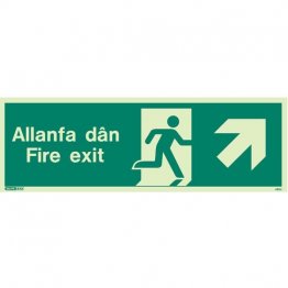 Allanfa Dan Up Right 485