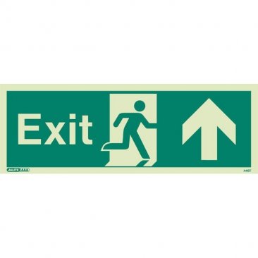 Exit Up 446